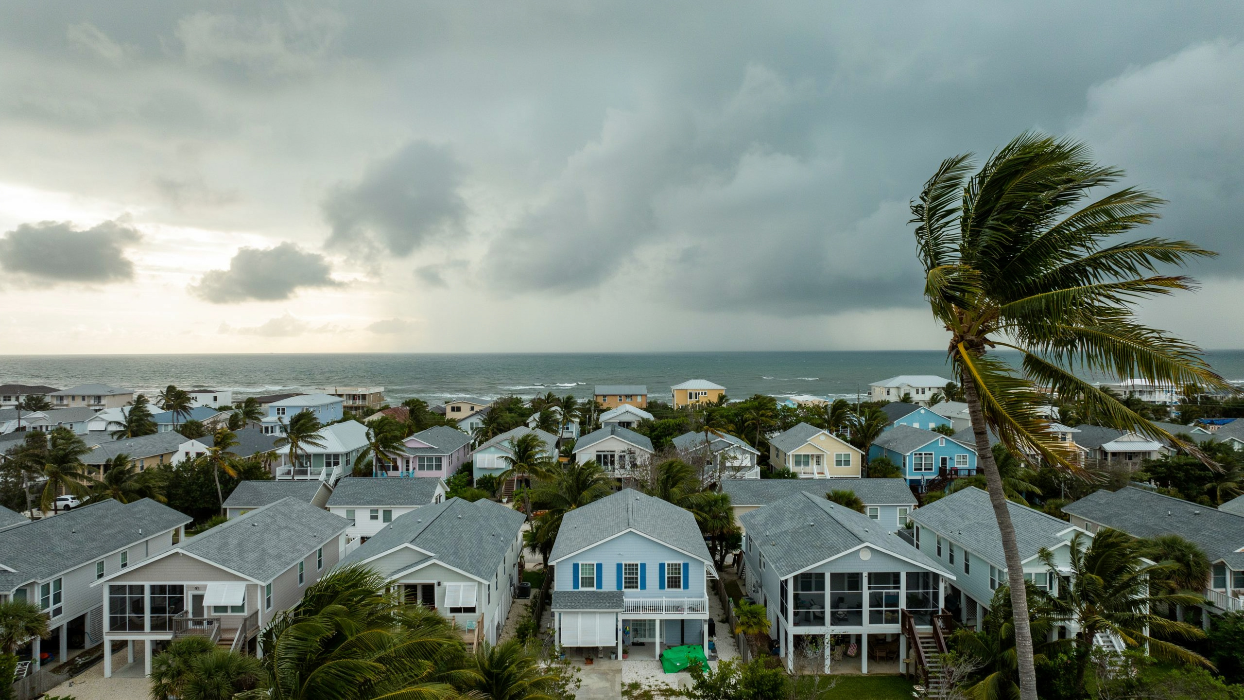 Coastal Bay County neighborhood with palms bending under an approaching hurricane sky.